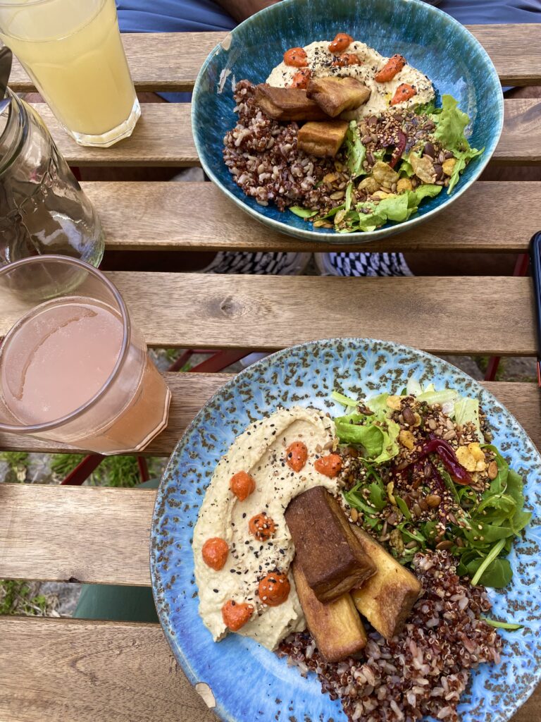 Tofu & Hummus bowl with whole grain rice and salad