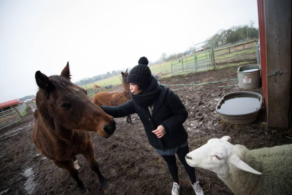 Volunteer at the Farm Sanctuary - Azumi Yamanaka