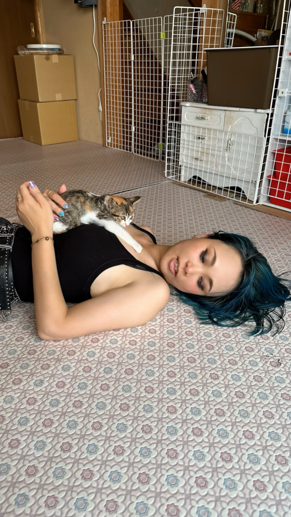 With rescued cats - Azumi Yamanaka