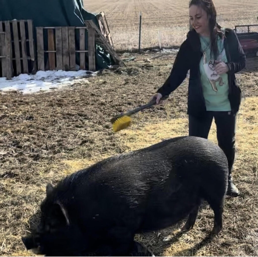 Jamie with Pig: Live Overly Kind