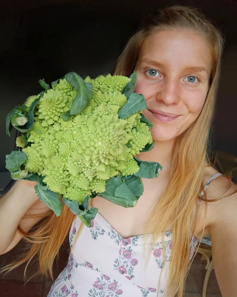 Lilla Sulkala - Have you ever eaten this gorgeous vegetable? 🤯

This is called romanesco, sometimes romanesco broccoli, although it's actually a cauliflower.
This cruciferous beauty is full of vitamin C & K, fiber and carotenoids!!! 🤩👌