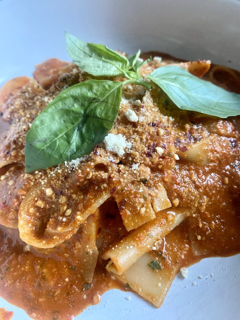 Pasta in Tomato and Garlic Sauce