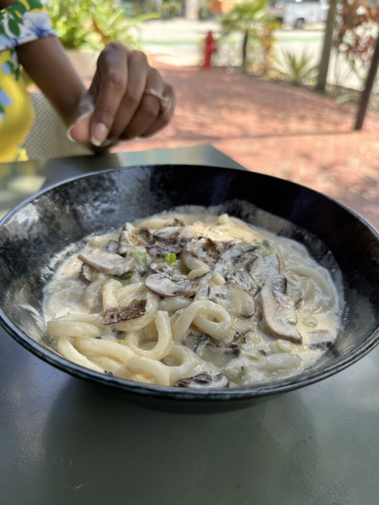 Udon Noodles from Planta - Amythest | 🌱 Plant Eater • Vegan 🌱