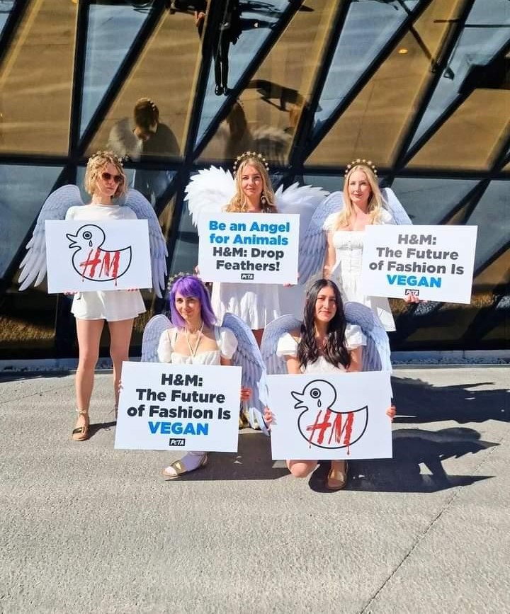 Malin - At a PETA protest outside the H&M annual shareholders meeting, asking them to stop torturing and killing ducks for their feathers