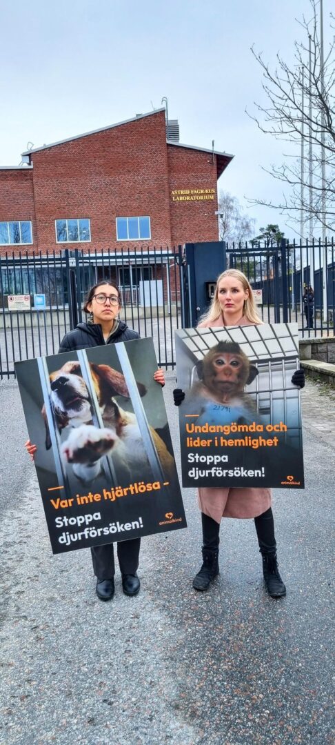 Malin - Protest against animal testing outside Astrid Fagræus animal testing labb in Stockholm. Organised by the organisation Animalkind